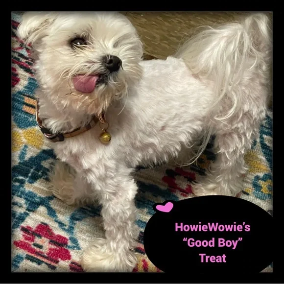 Aug 7:30 PM EST $3! CLOSET CLEAROIT! LOW STARTS BOMBED PRICES!NEW LISTINGS! - Picture 16 of 16